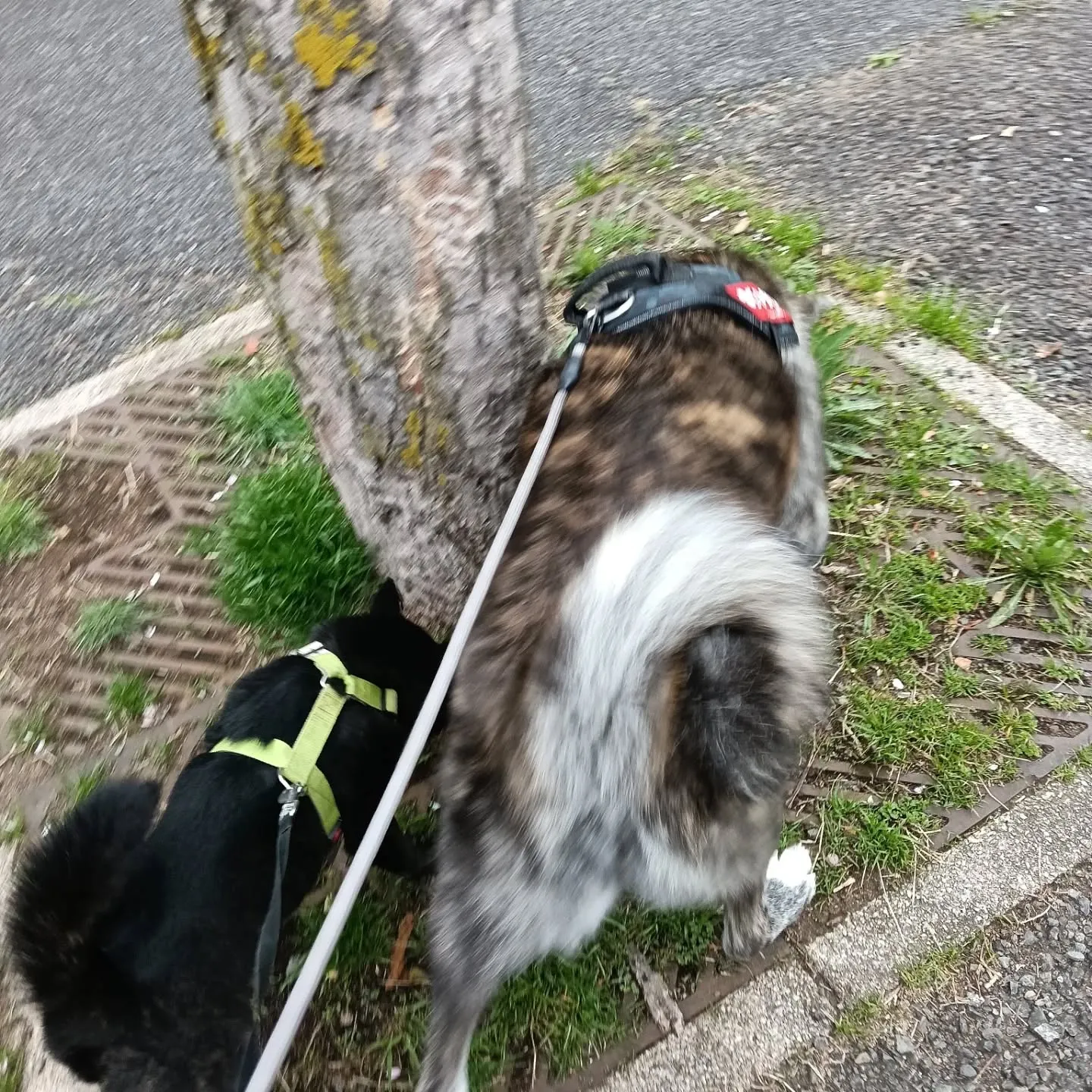 おはようございます！