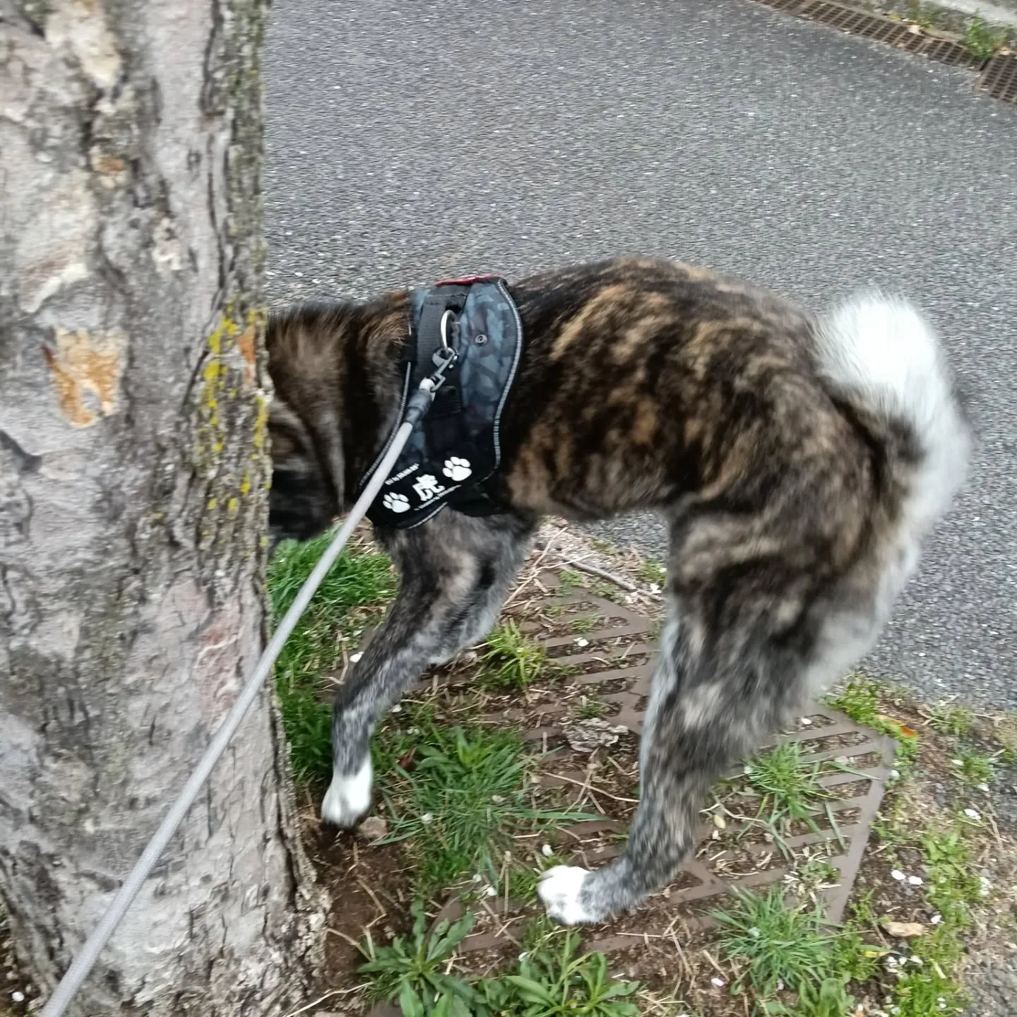 おはようございます！