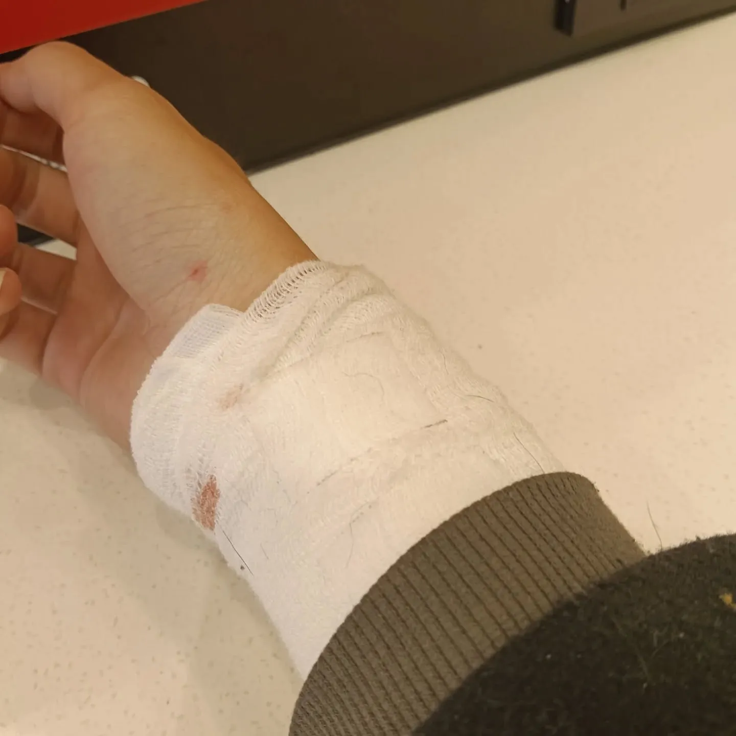 ショッキングな画像が含まれます！！