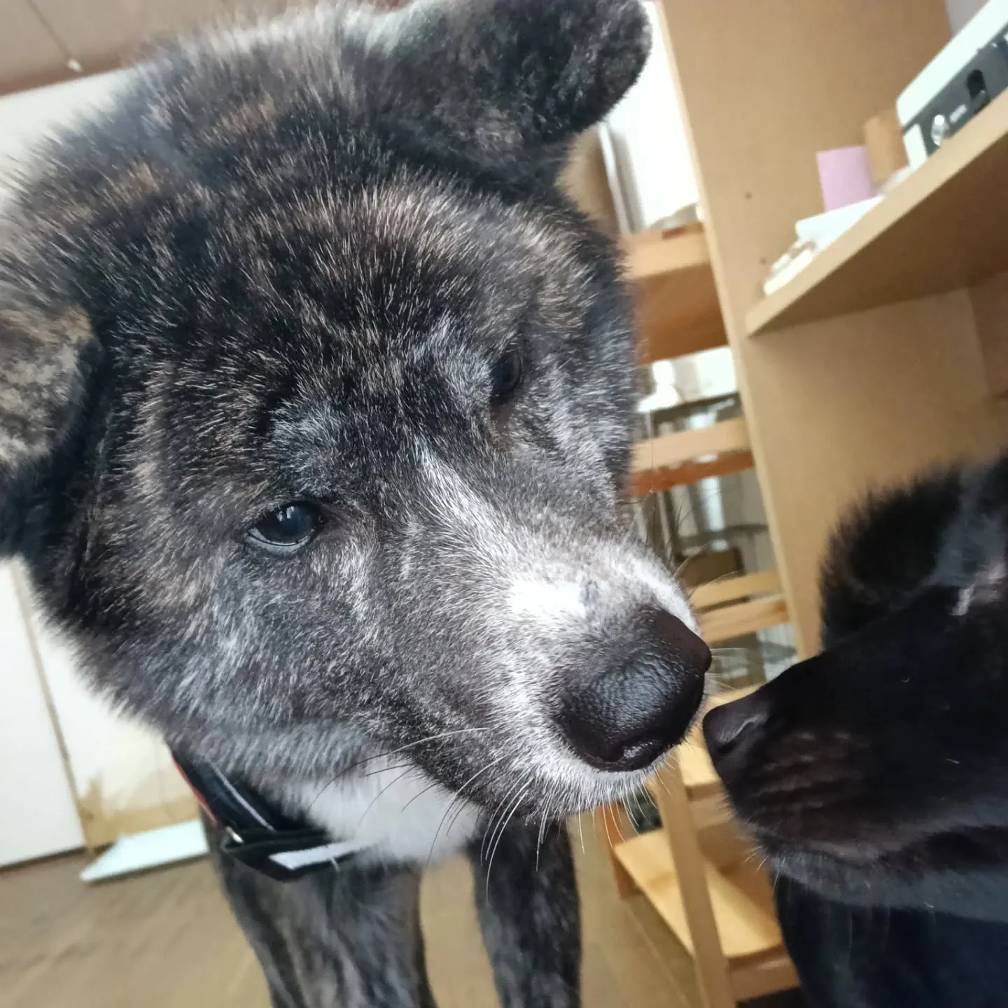 おはようございます！