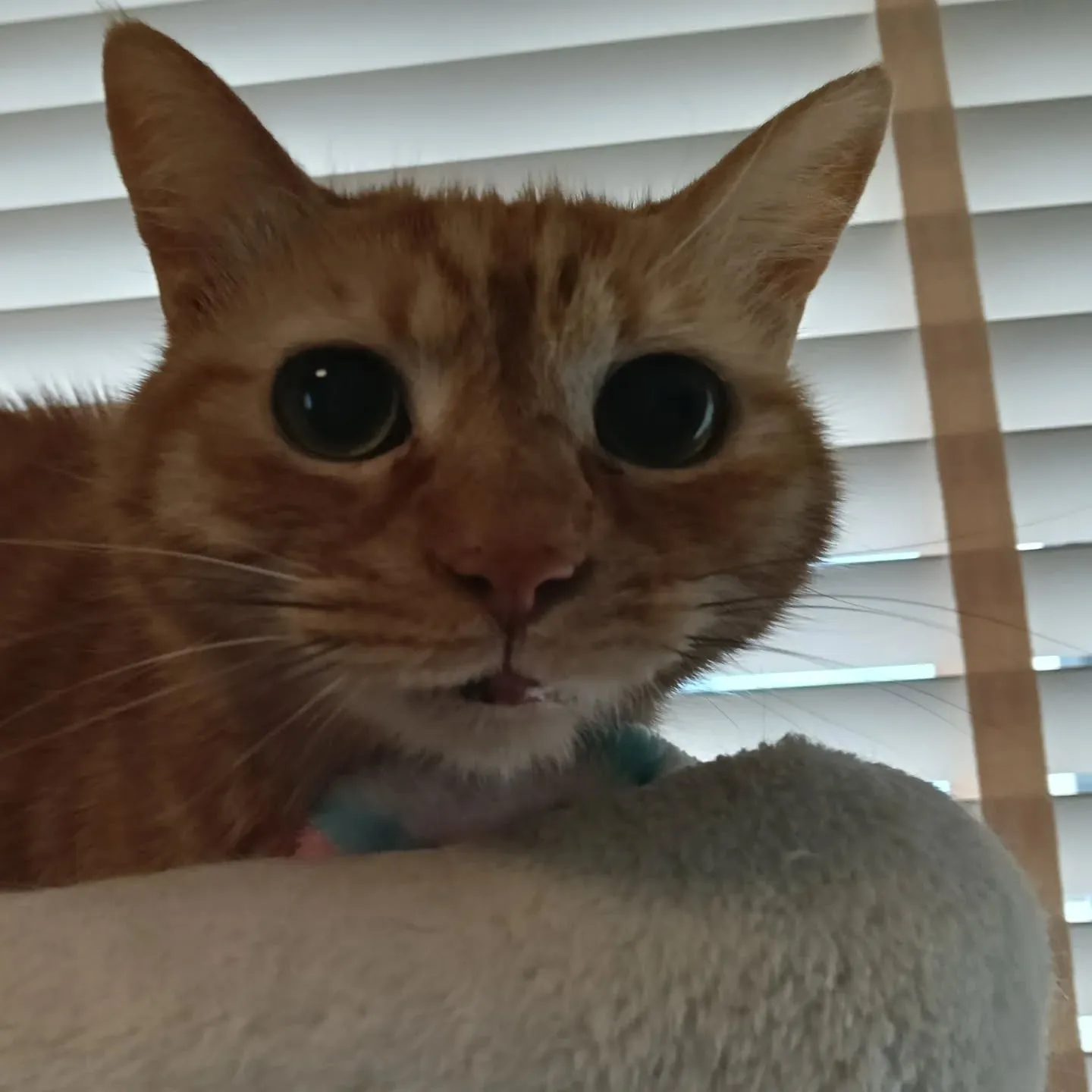 おはようございます！