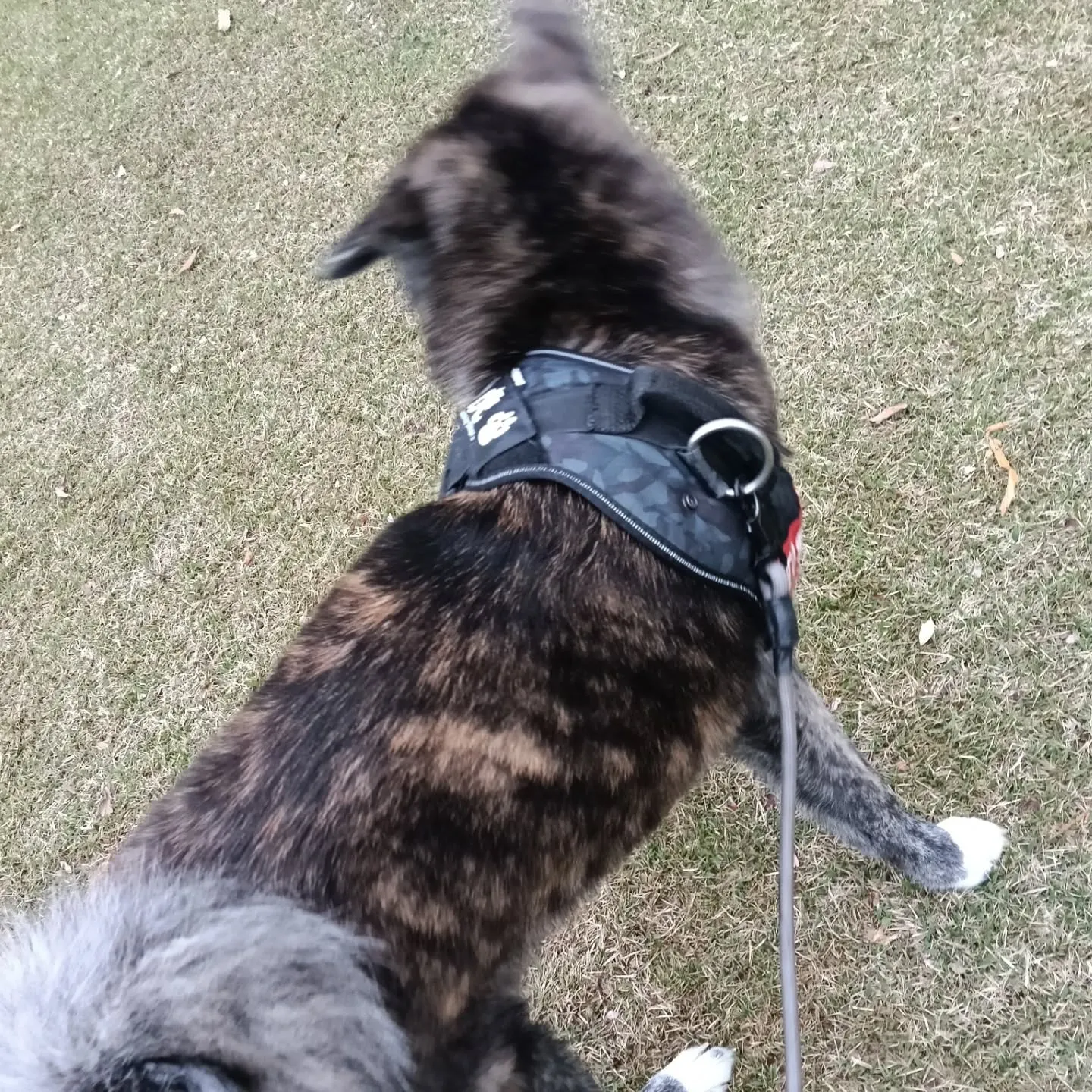 おはようございます！