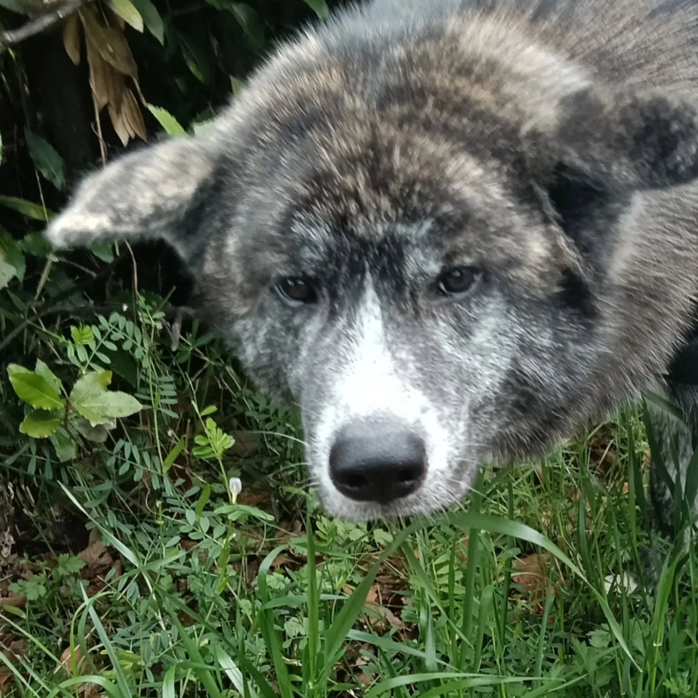 おはようございます！