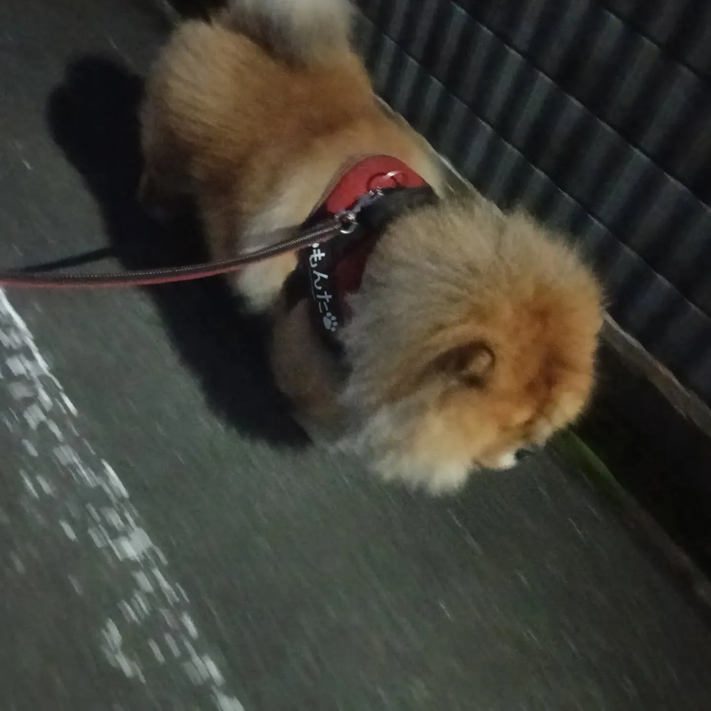 おはようございます！