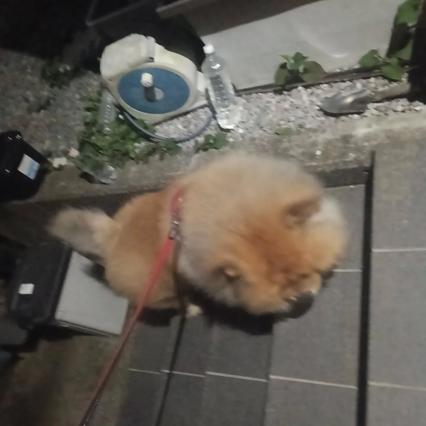 おはようございます！