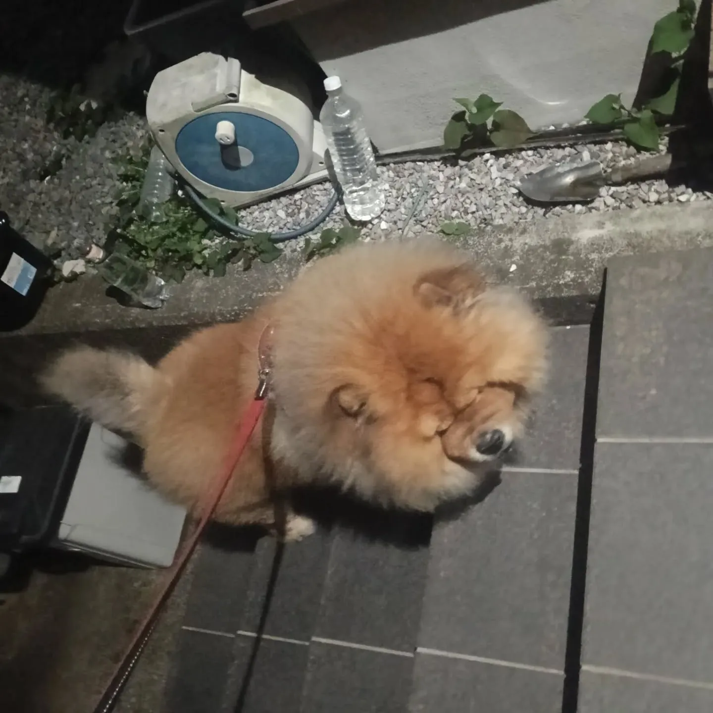 おはようございます！