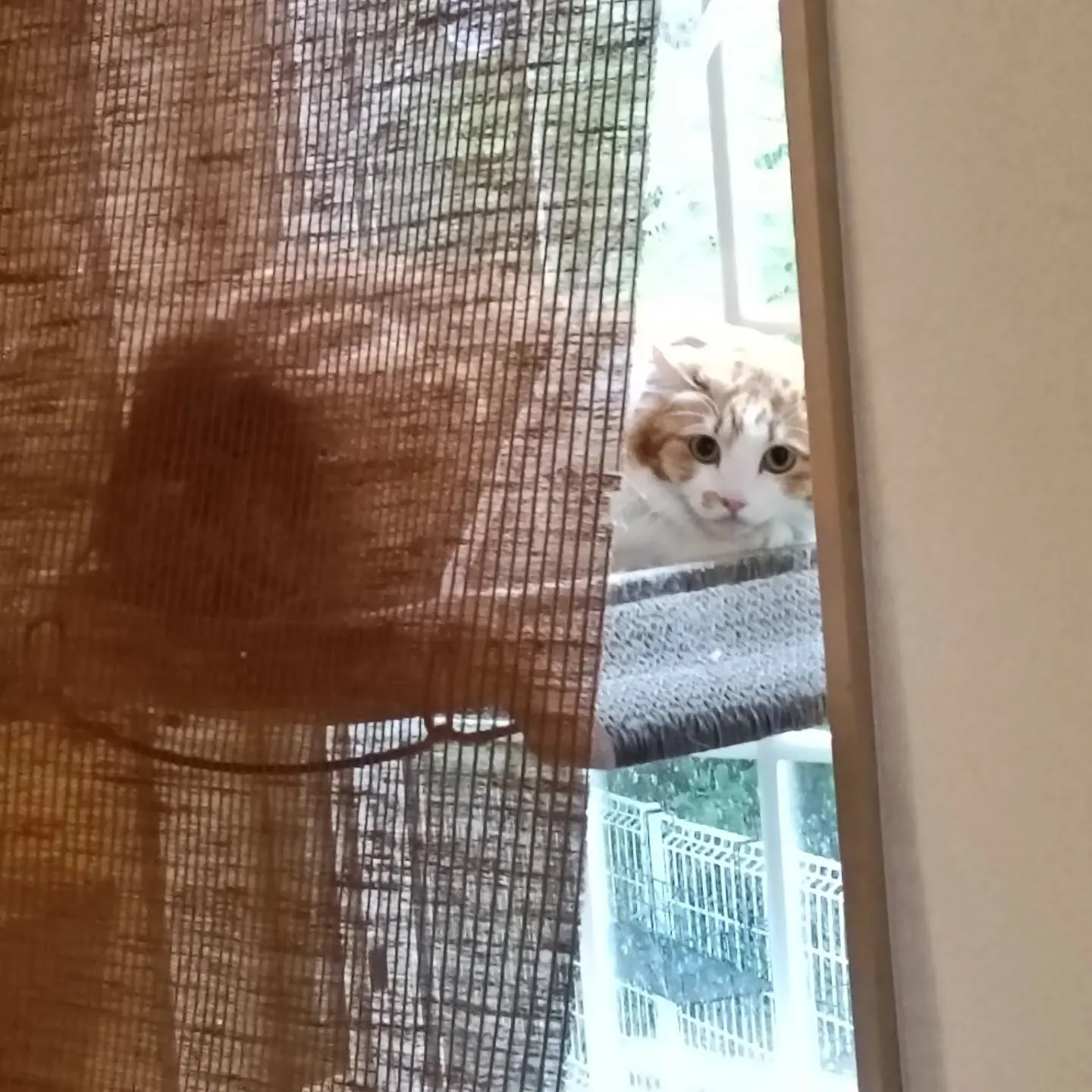 こんばんは！