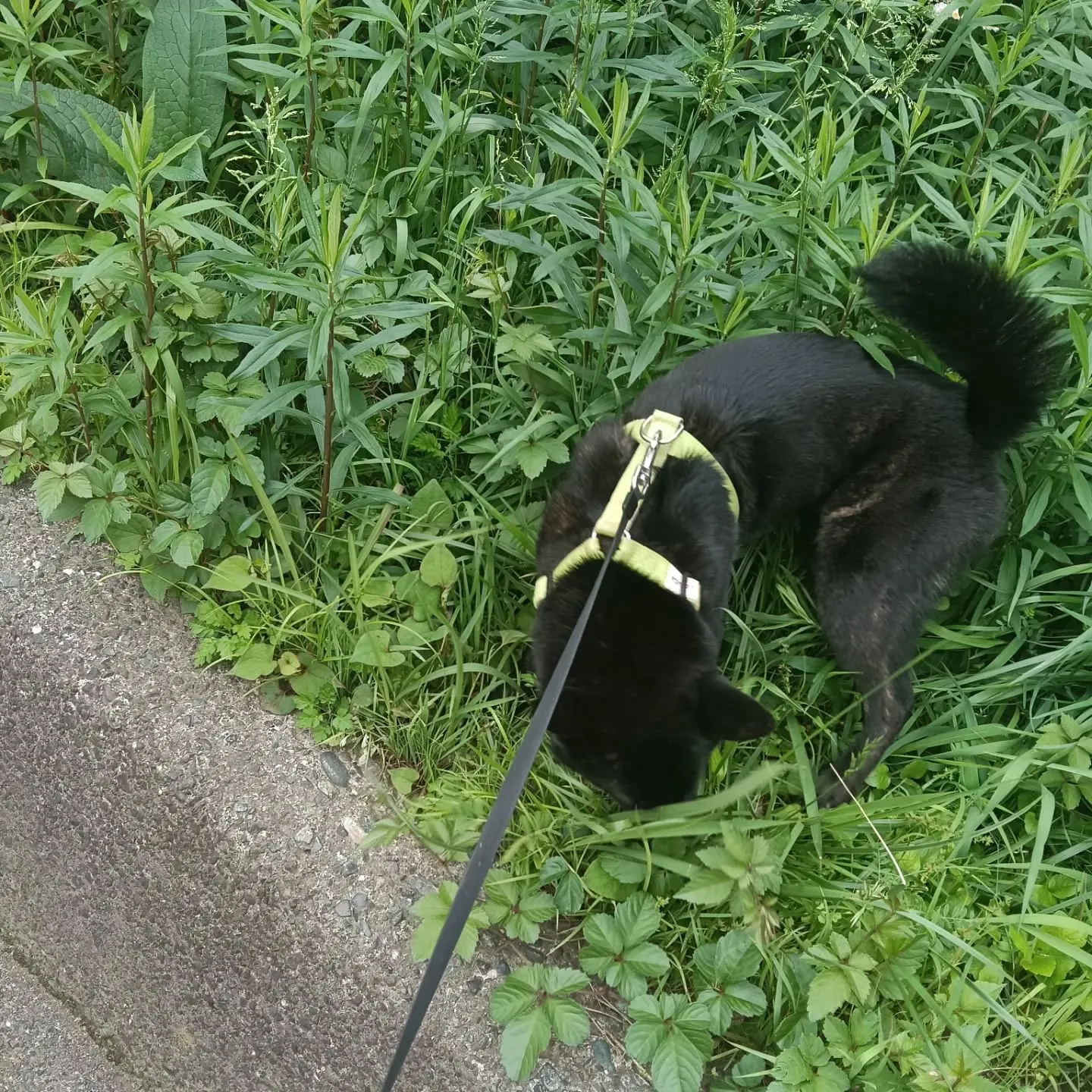 こんにちは！
