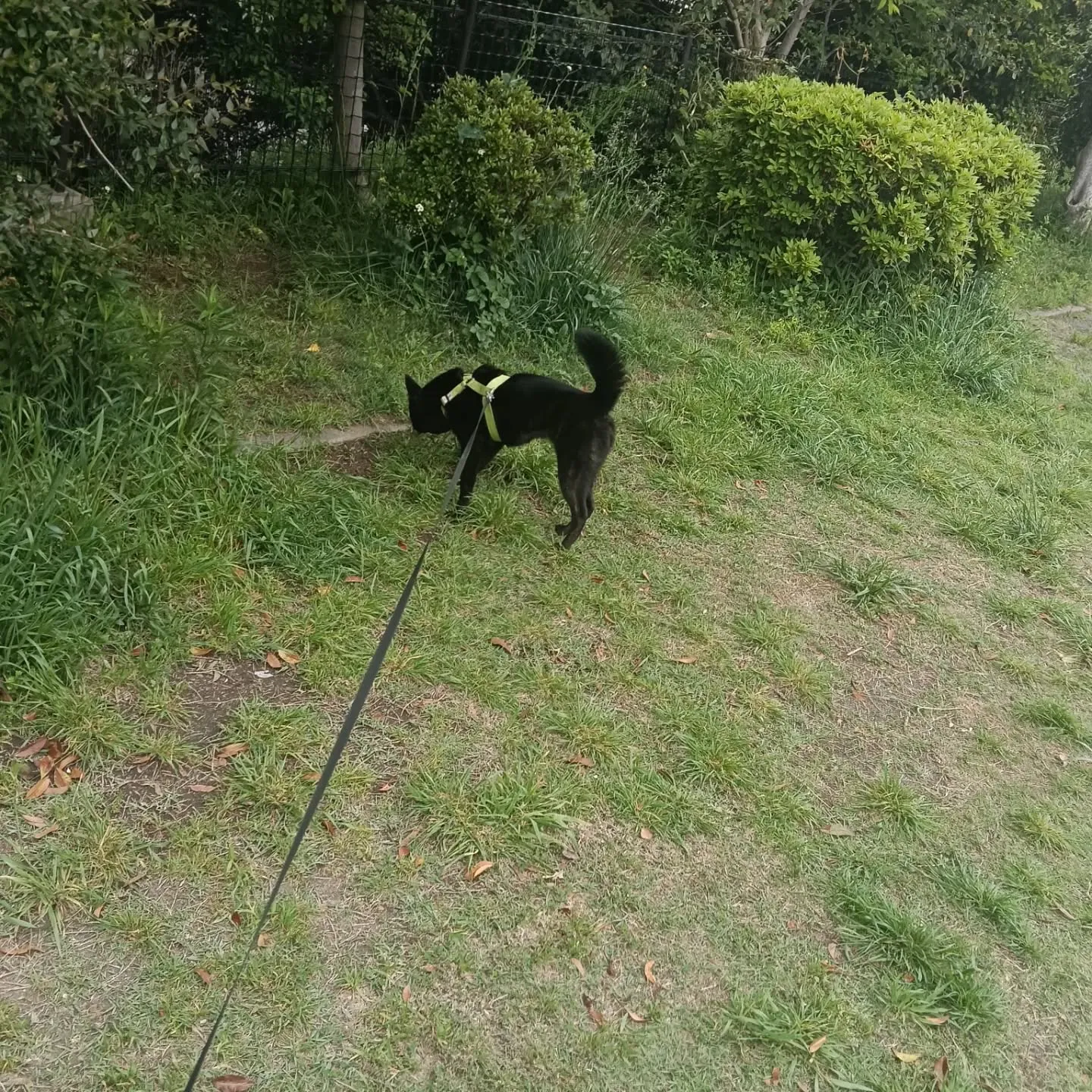 こんにちは！