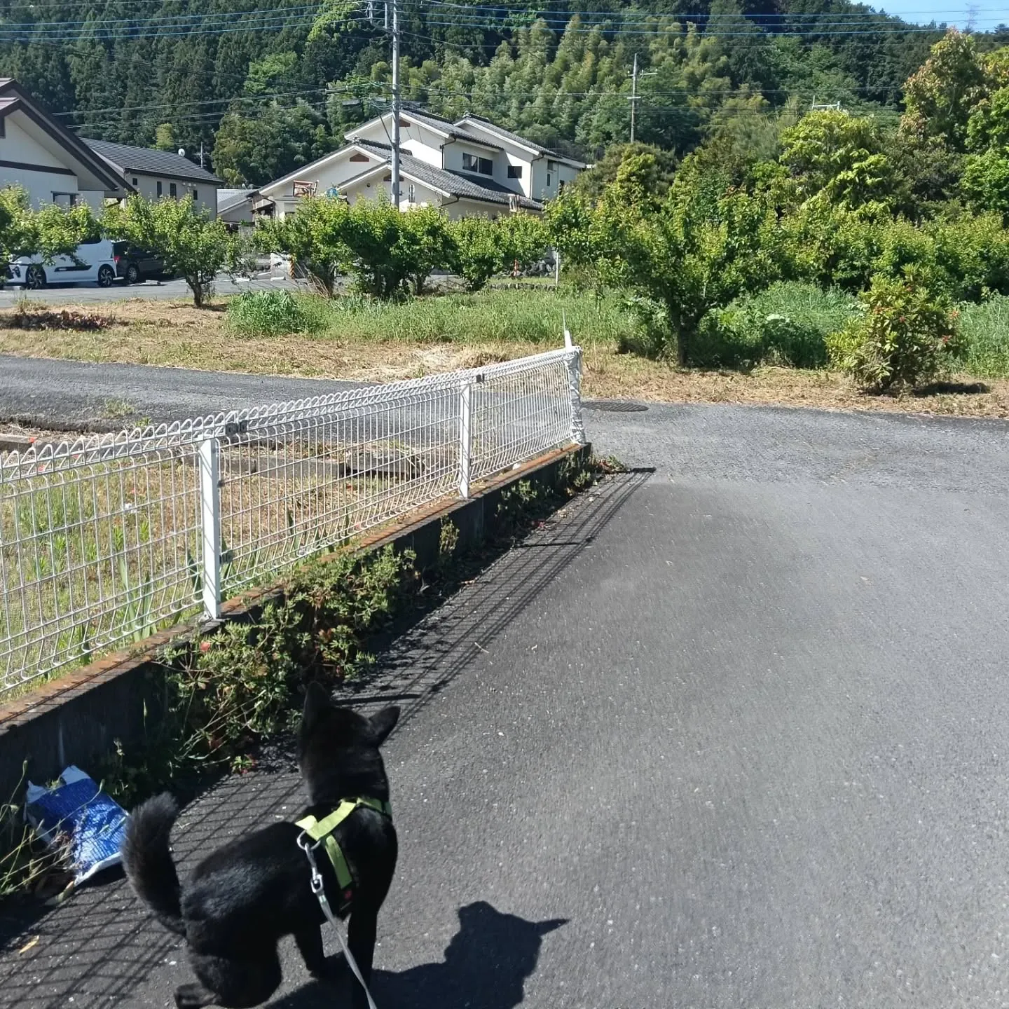 こんにちは！