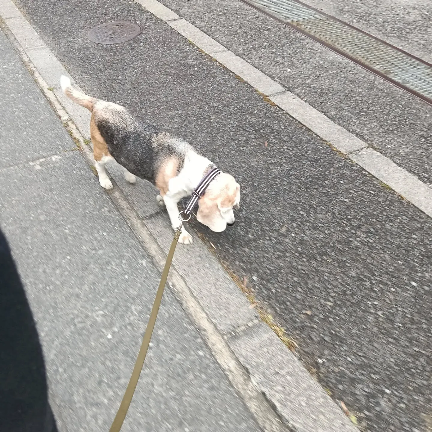 こんにちは！