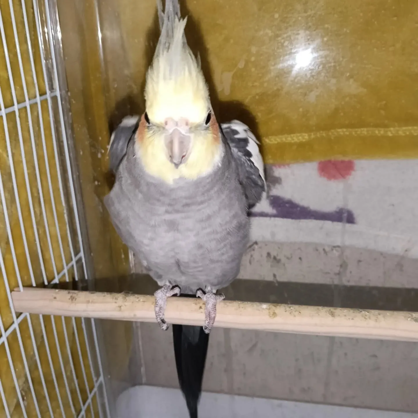 おはようございます!