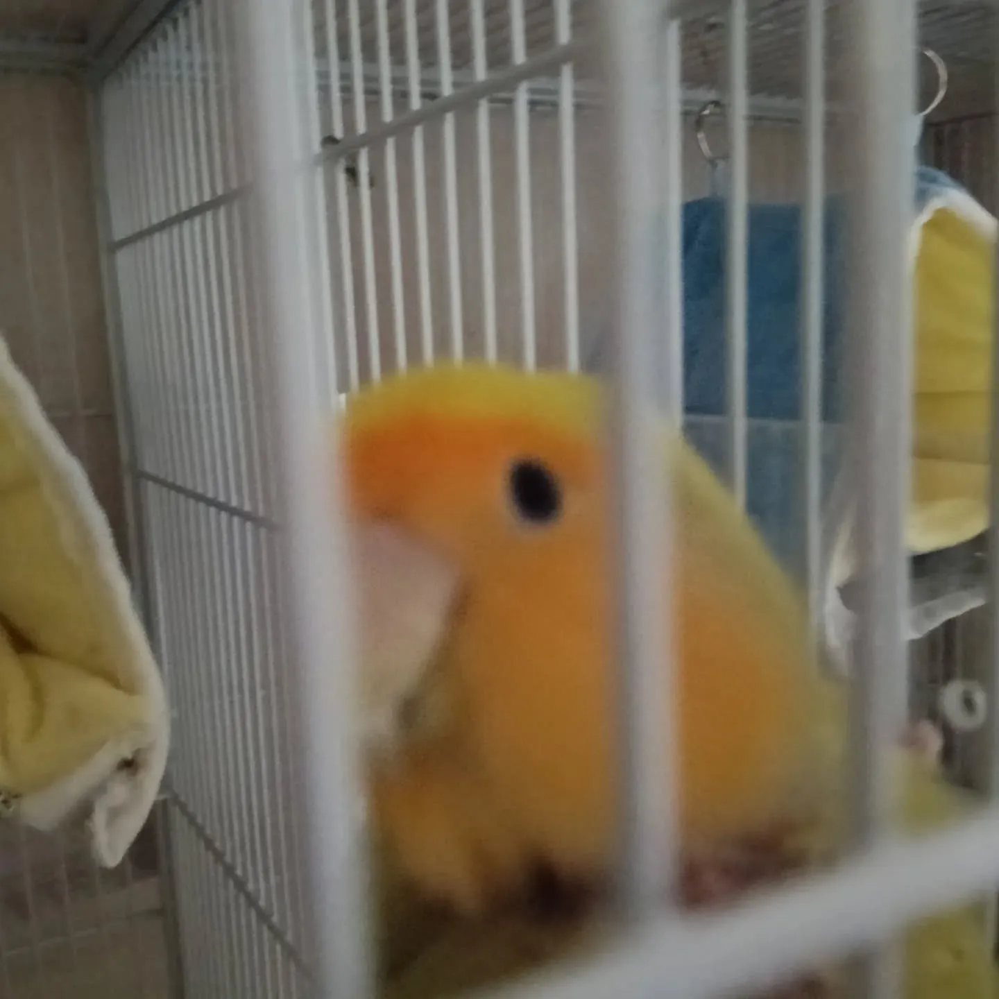 おはようございます!