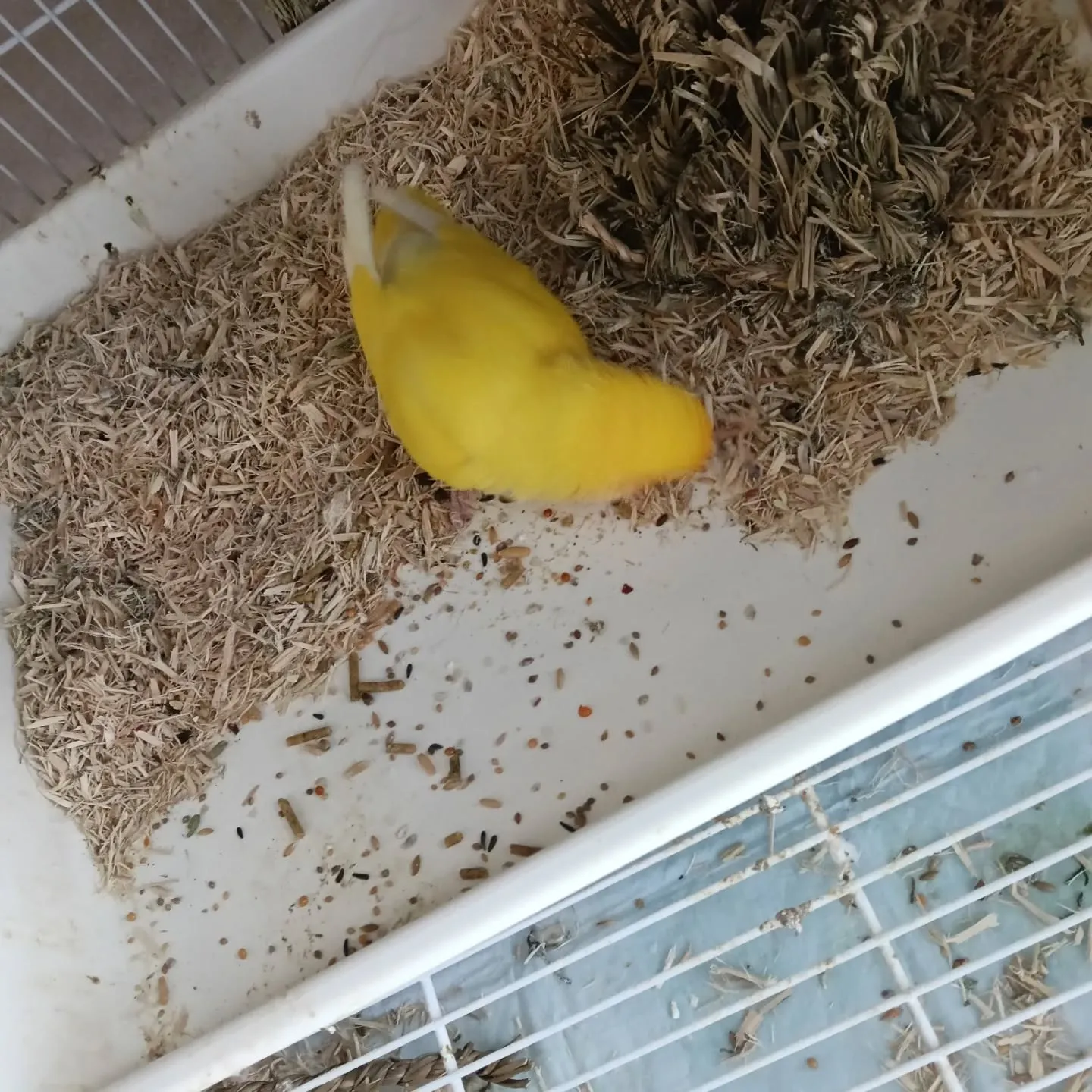 おはようございます!