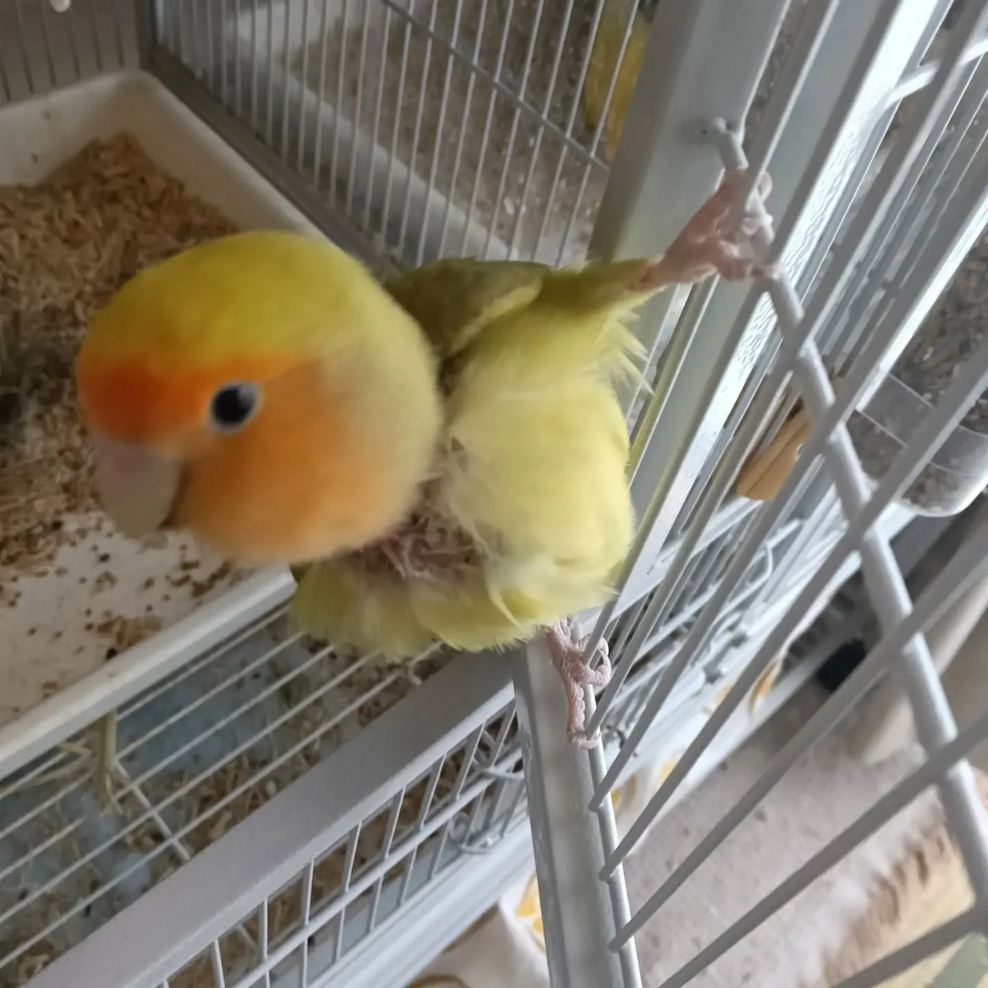 おはようございます!
