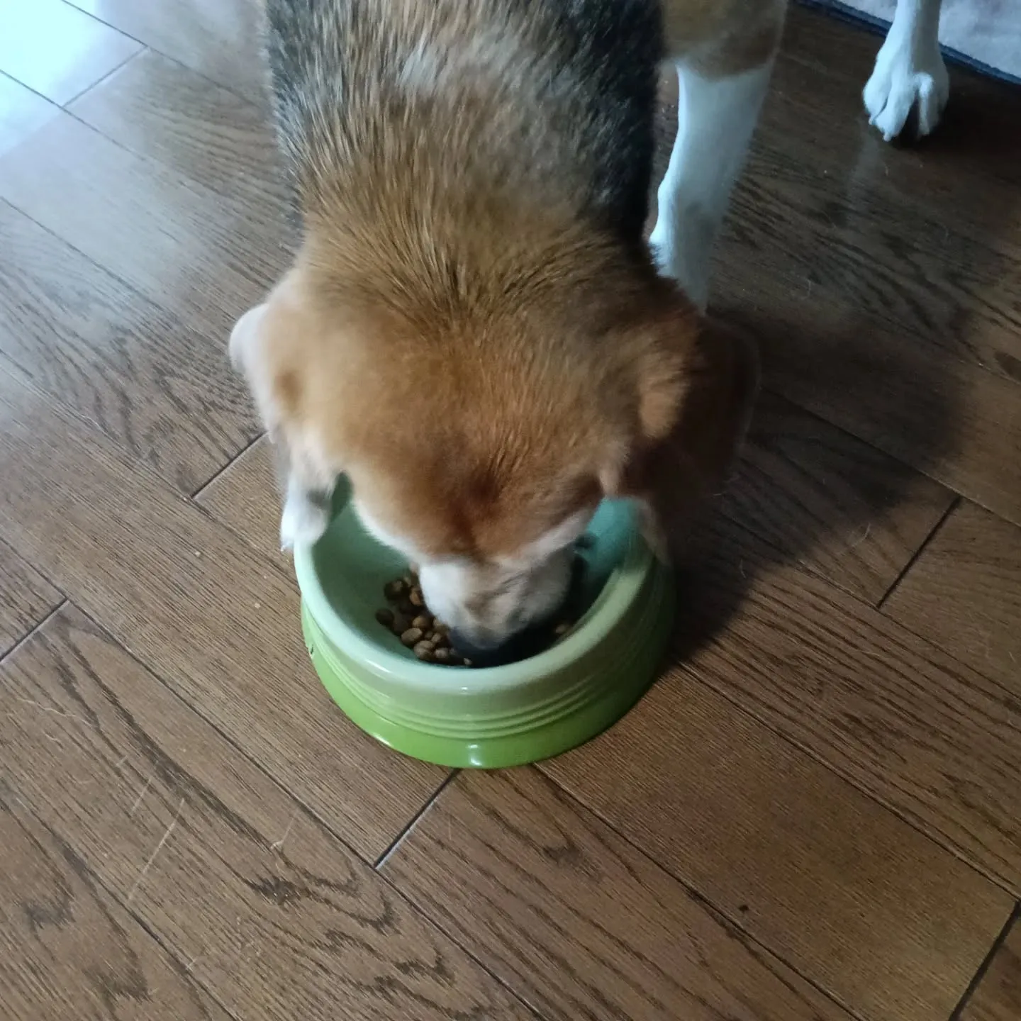 こんばんは！
