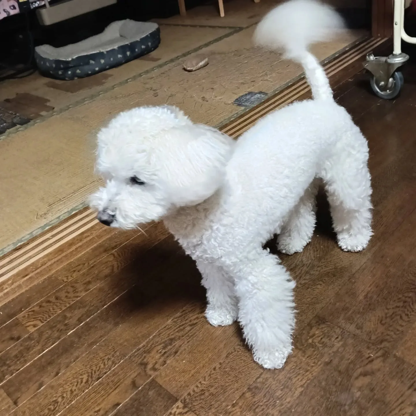 こんばんは！