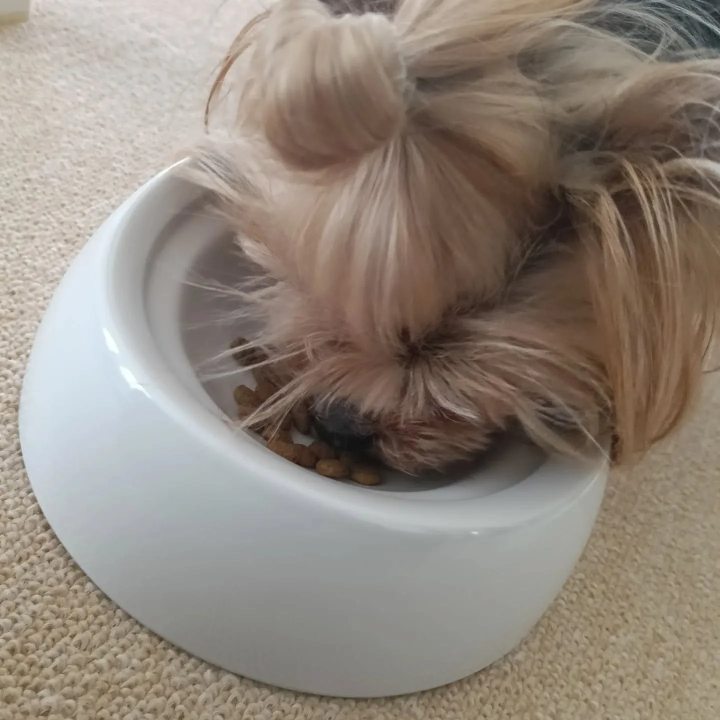 おはようこざいます！