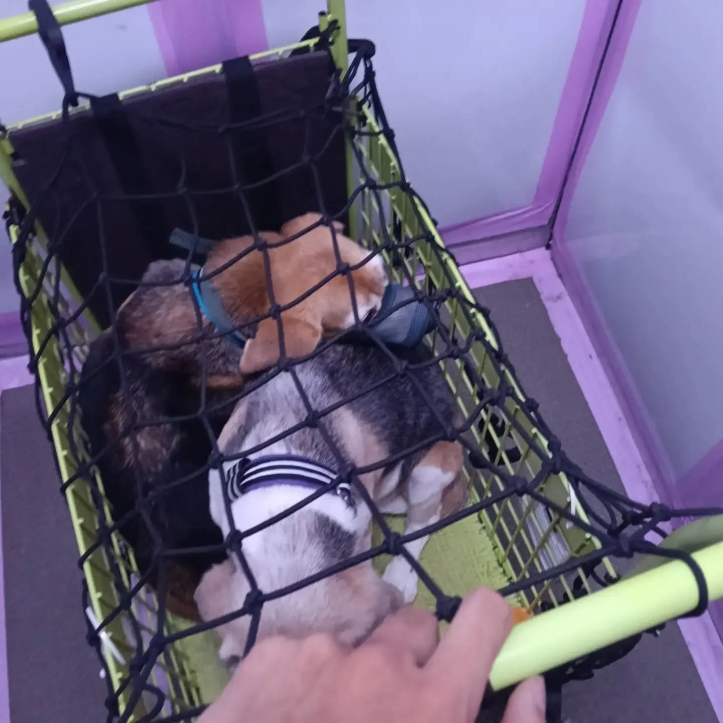 こんばんは！