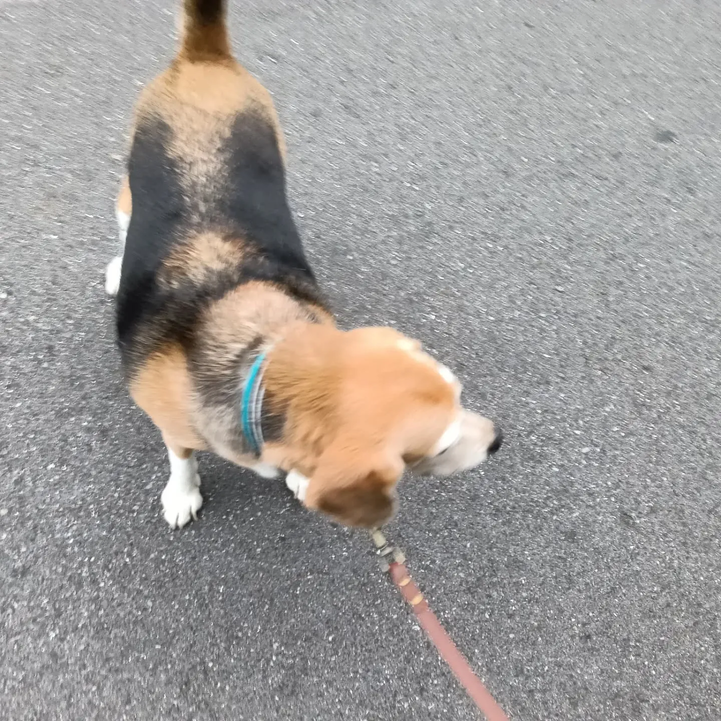 こんばんは！