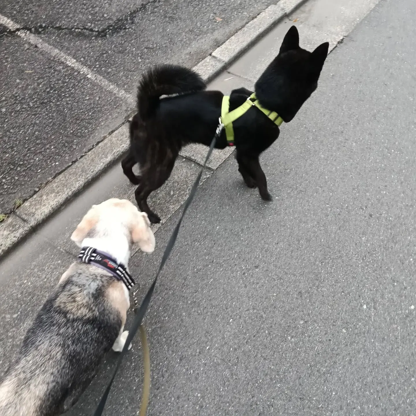 こんばんは！