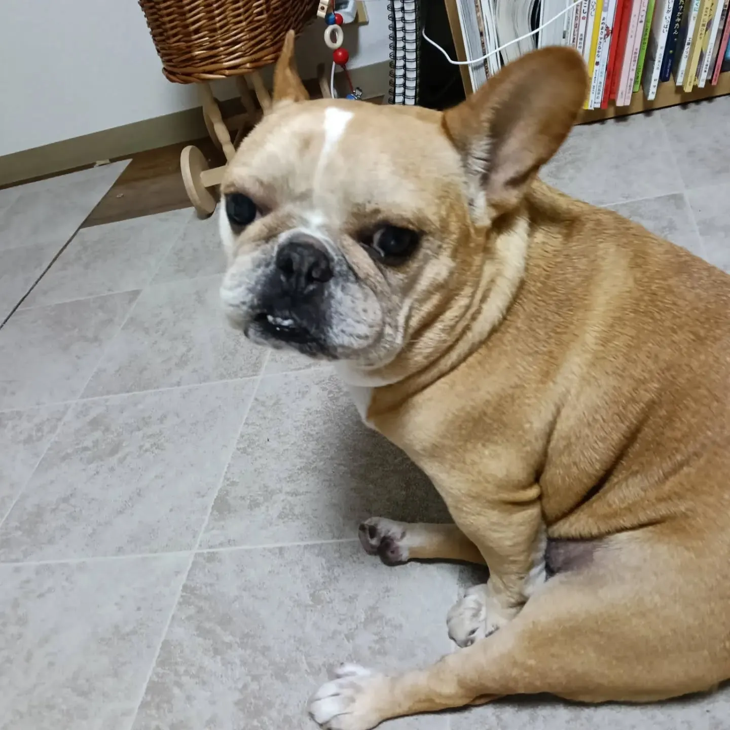 こんにちは！