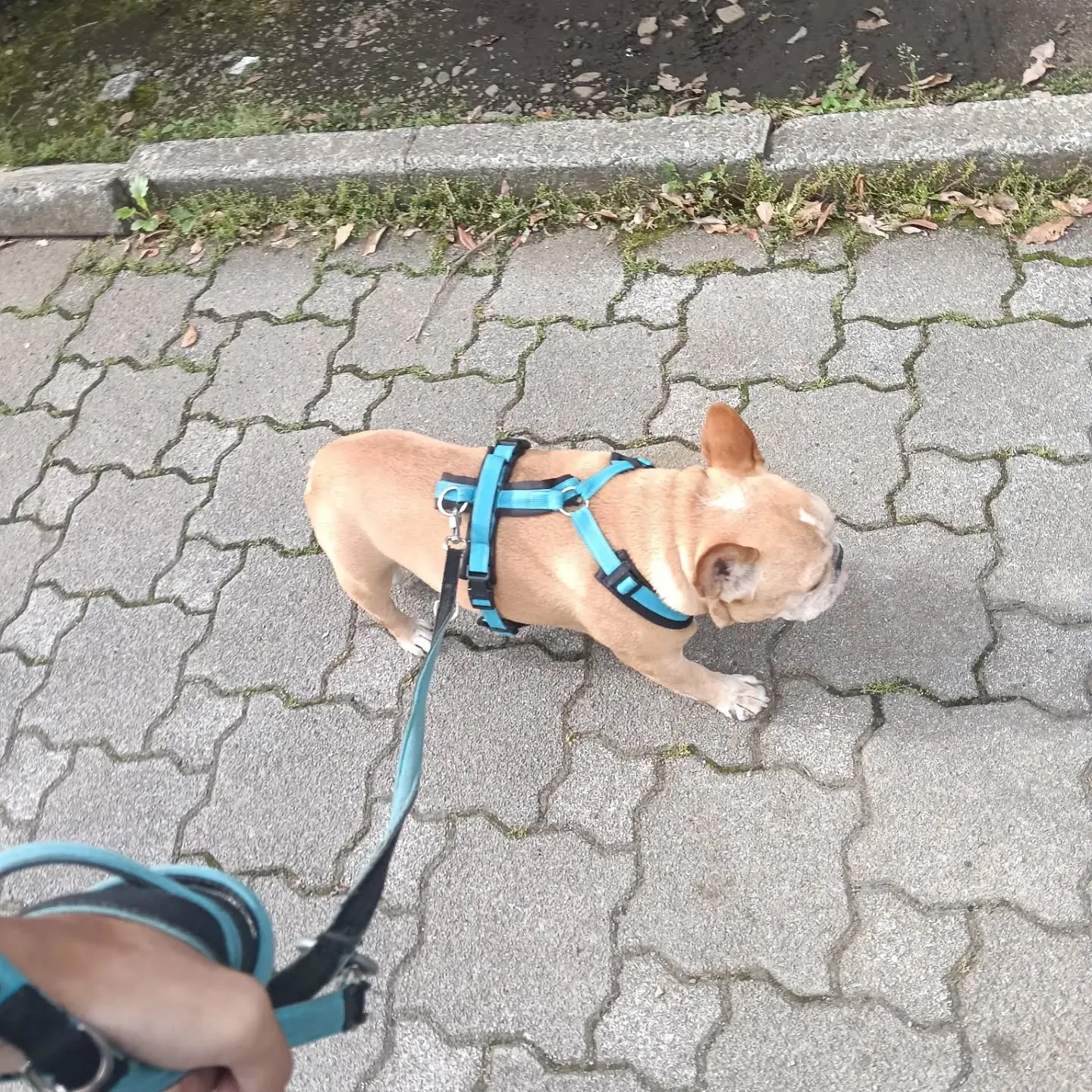 こんにちは！