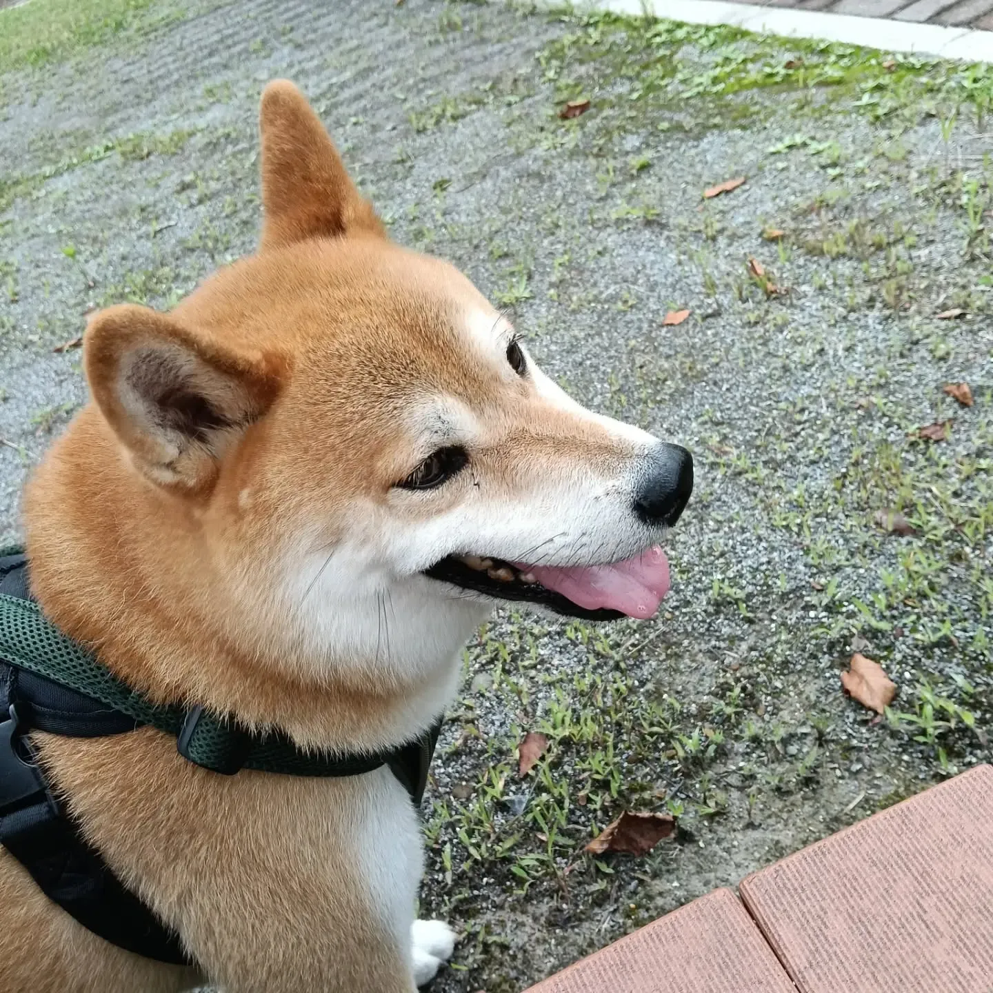 おはようございます！
