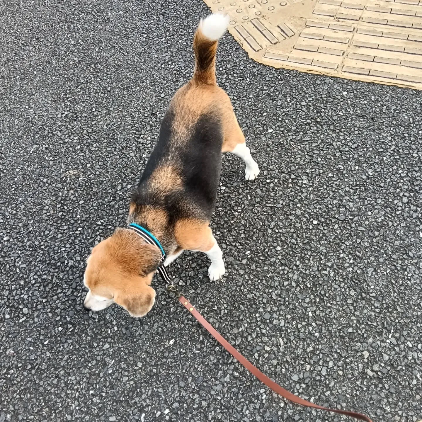 こんにちは！