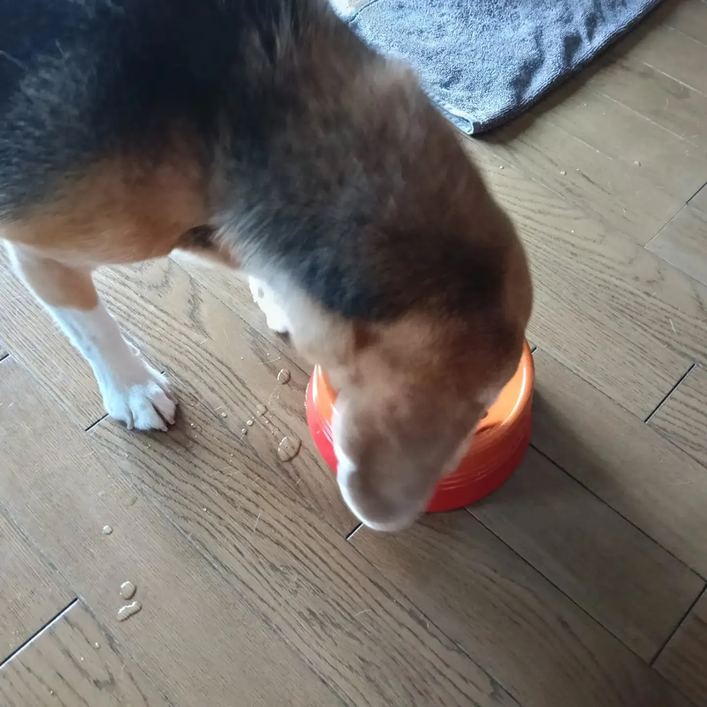 こんにちは！