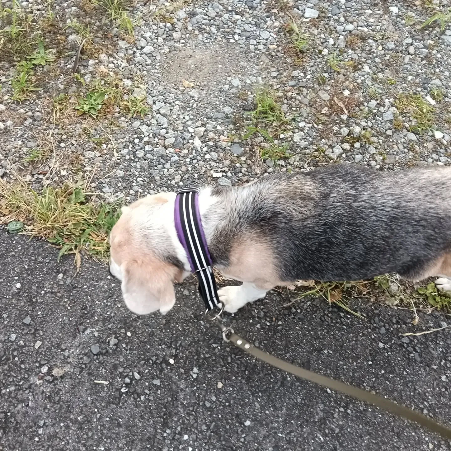 こんばんは！