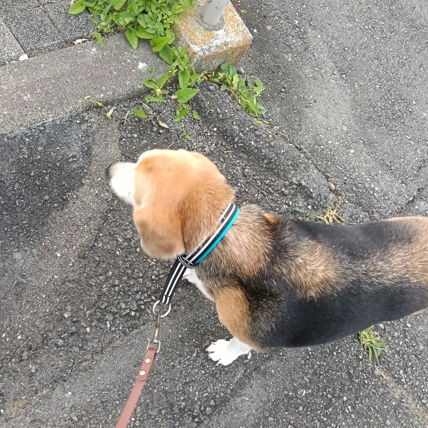 こんばんは！