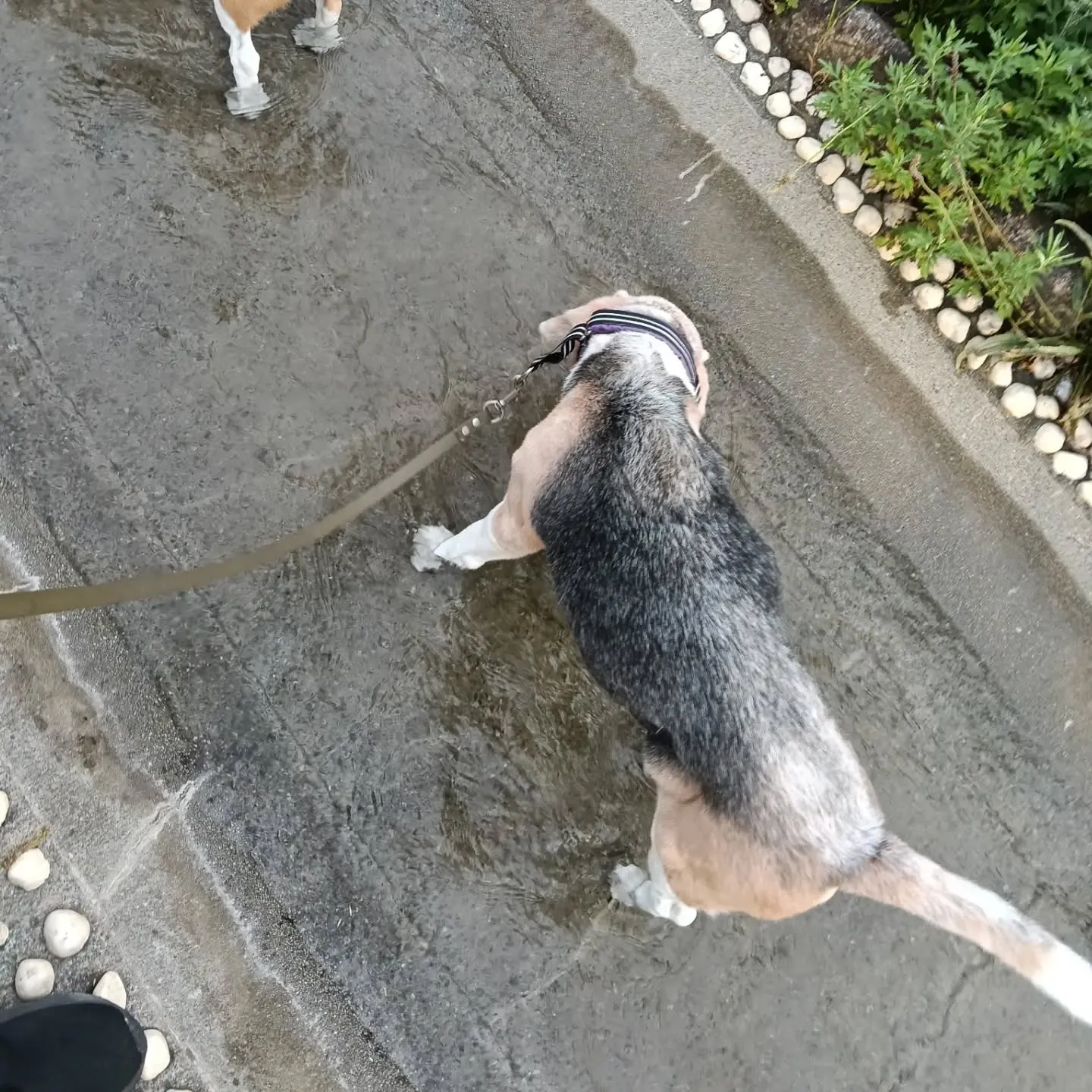 こんばんは！