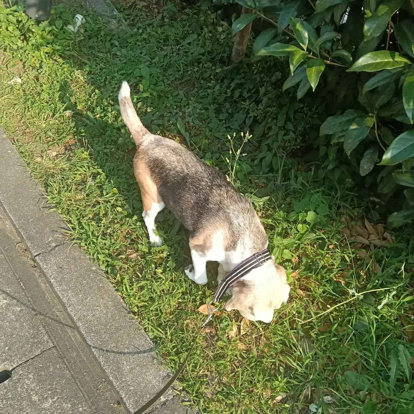 こんばんは!