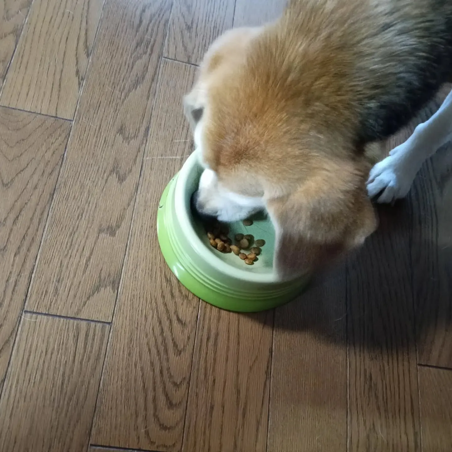 こんにちは！