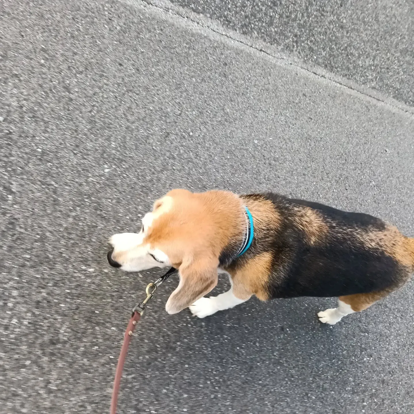 こんにちは！