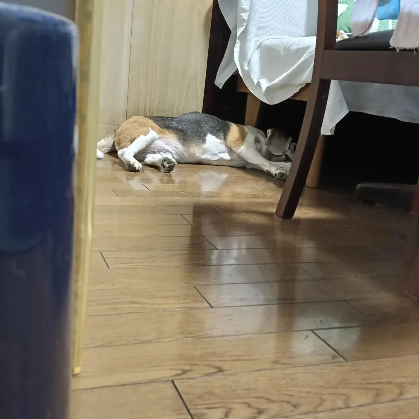 こんにちは！