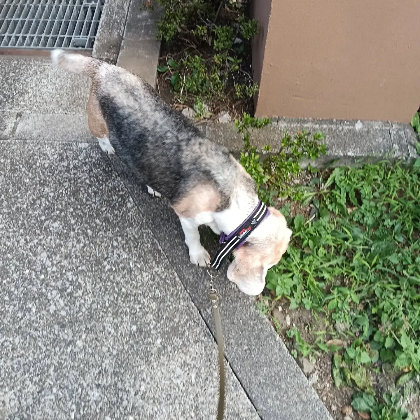 おはようございます。