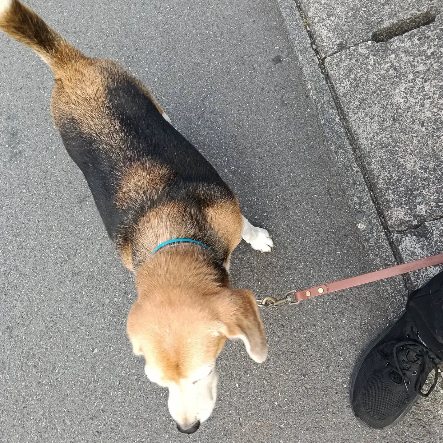 おはようございます。