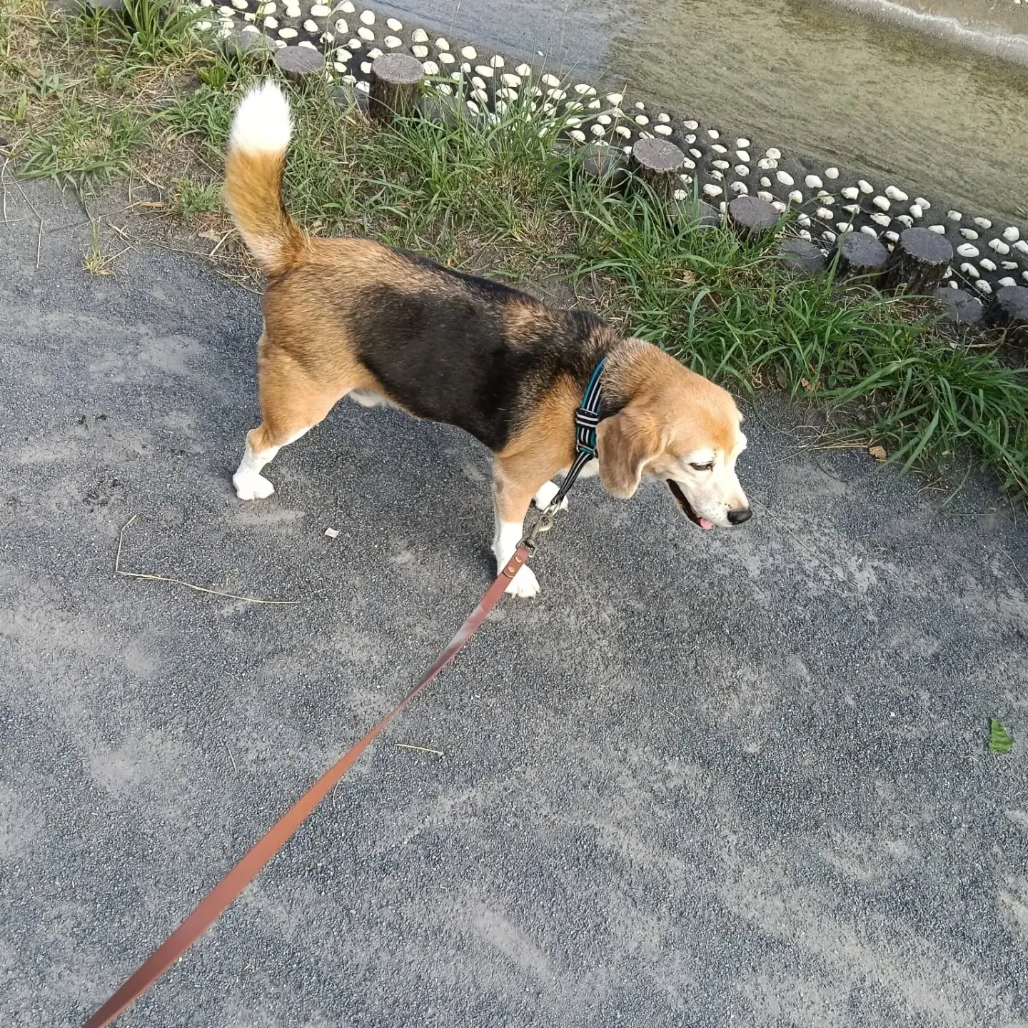 おはようございます。