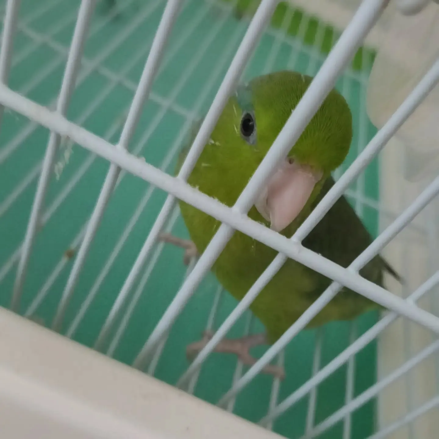 こんにちは!
