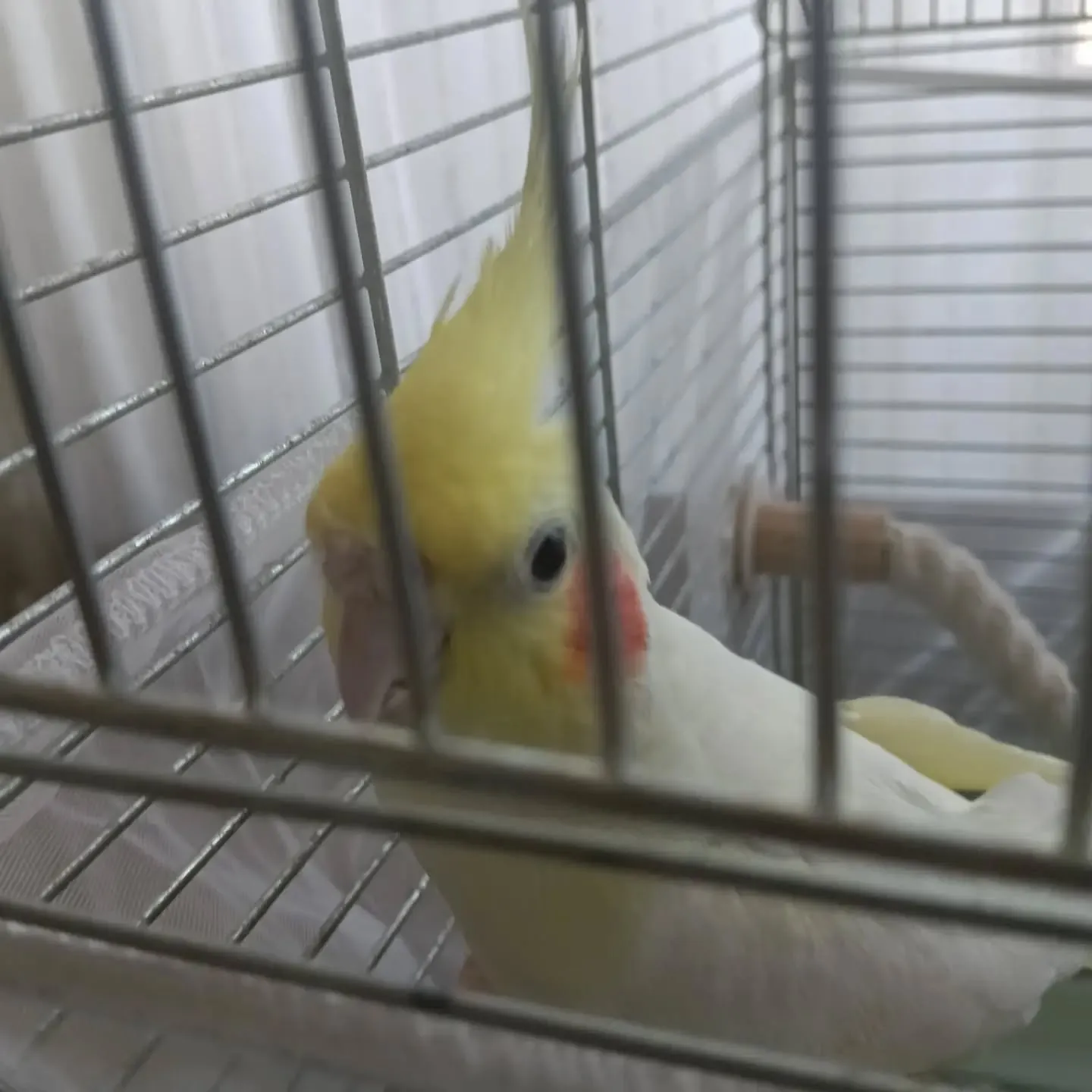 こんにちは!