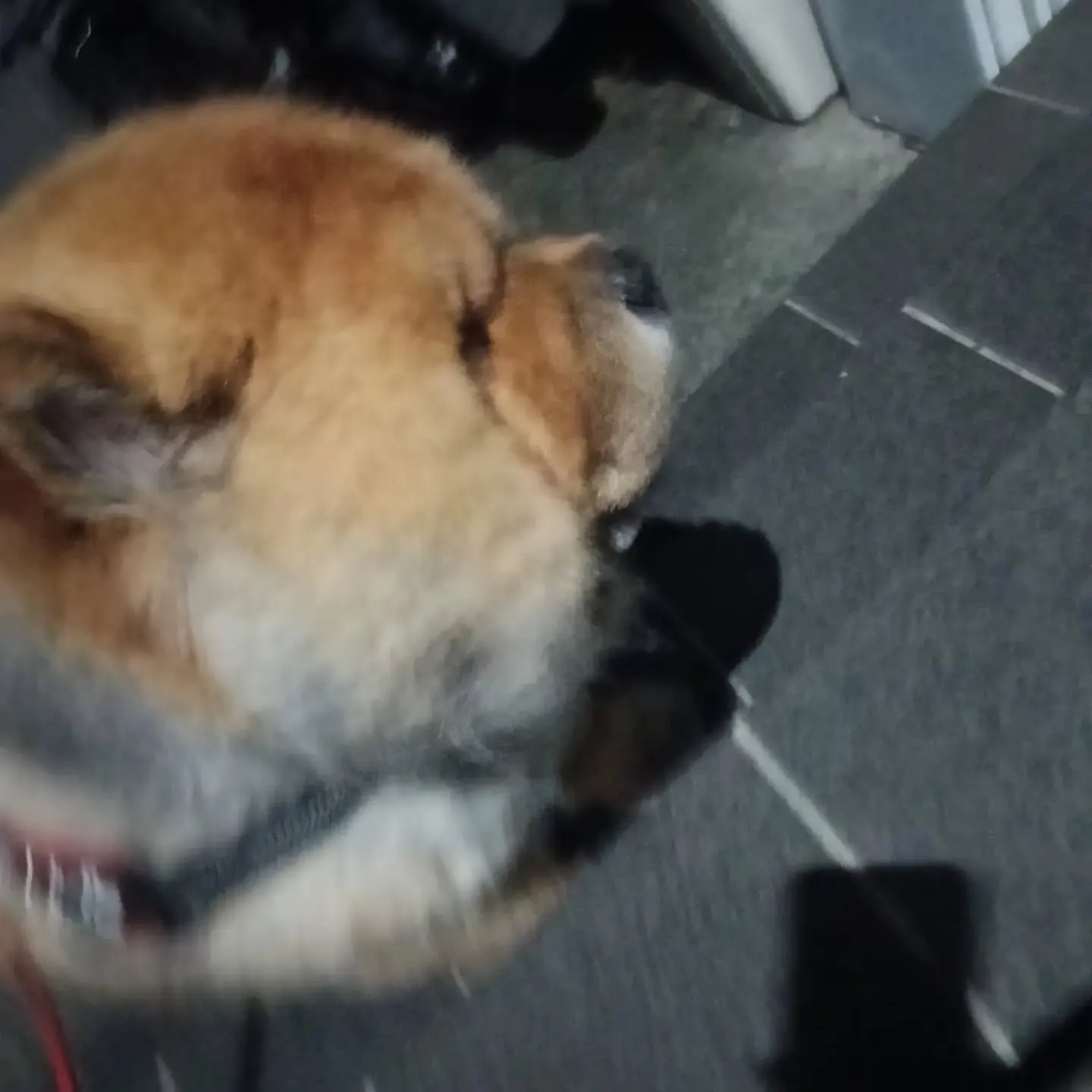 こんにちは!