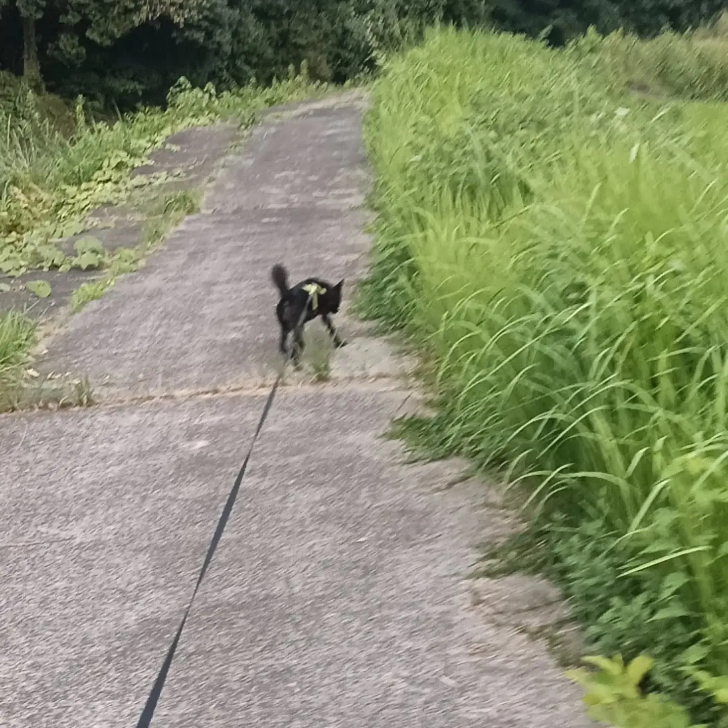 おはようございます！