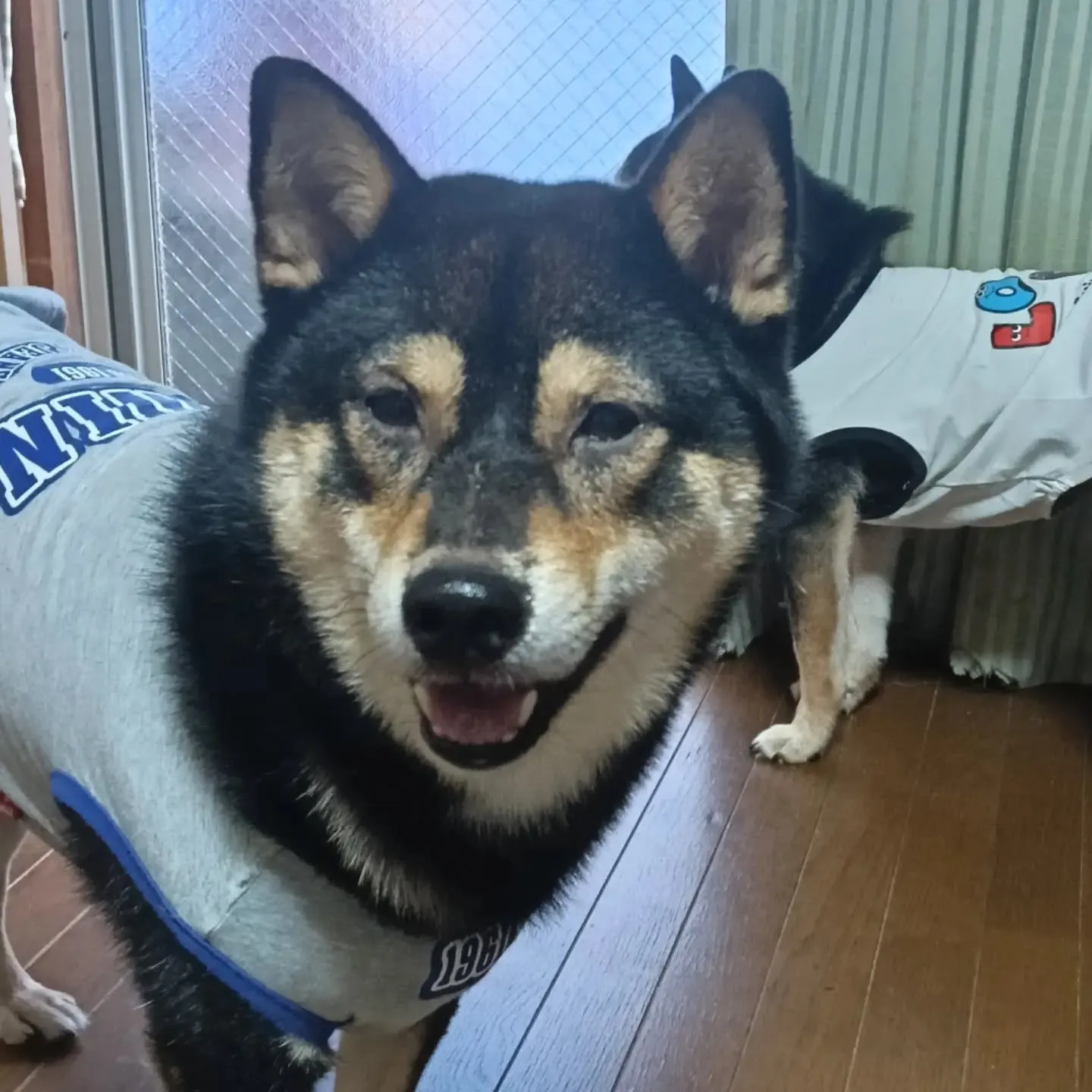 おはようございます！
