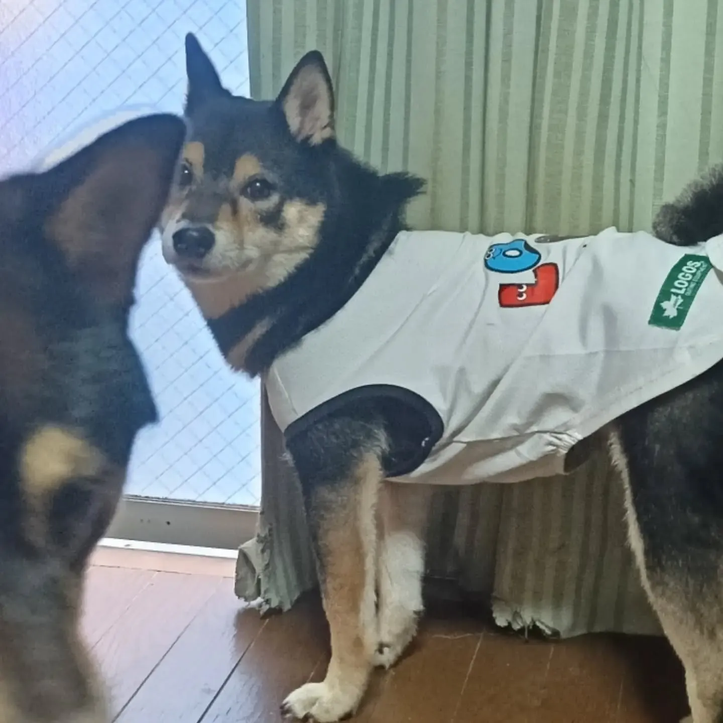 おはようございます！