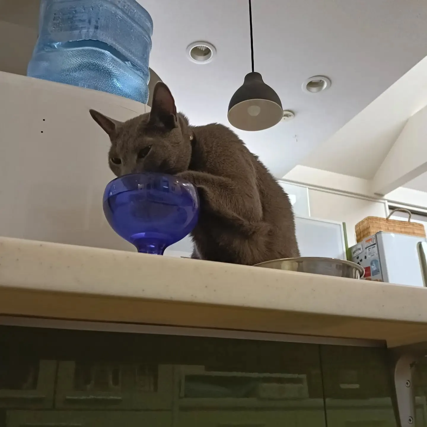 こんにちは!