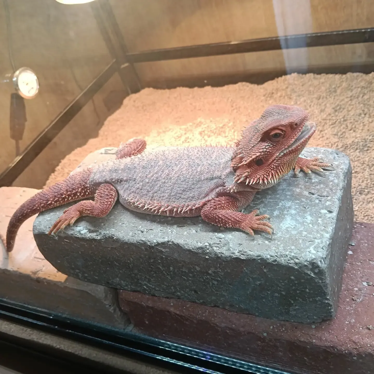 こんにちは!