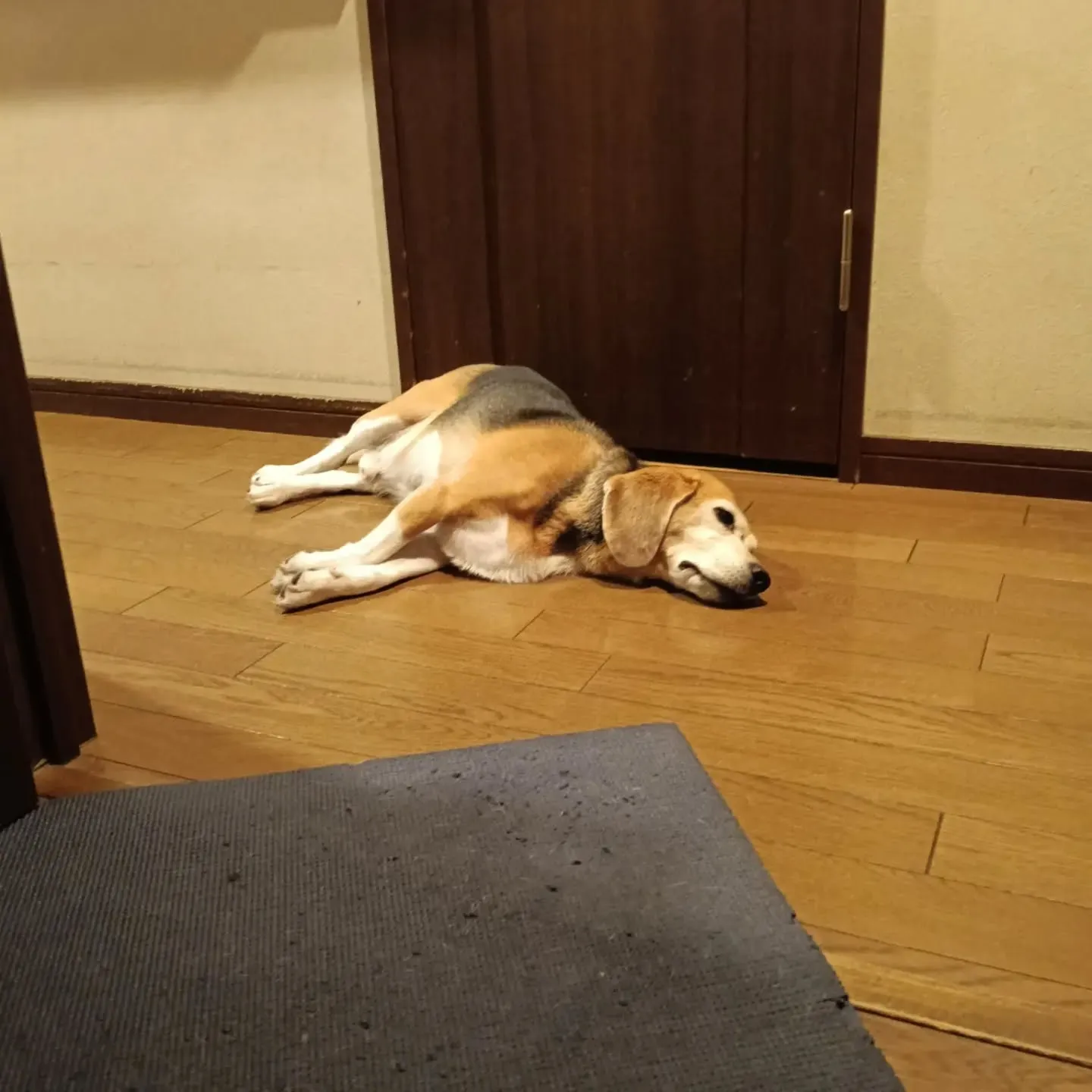 こんばんは!