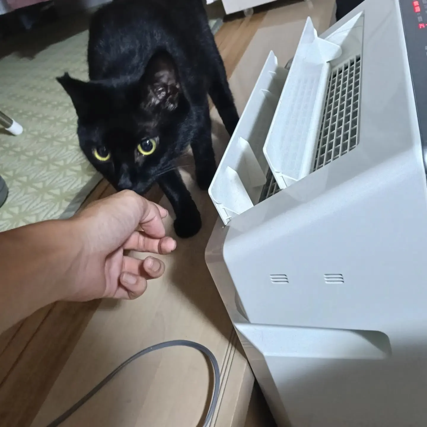 こんばんは!